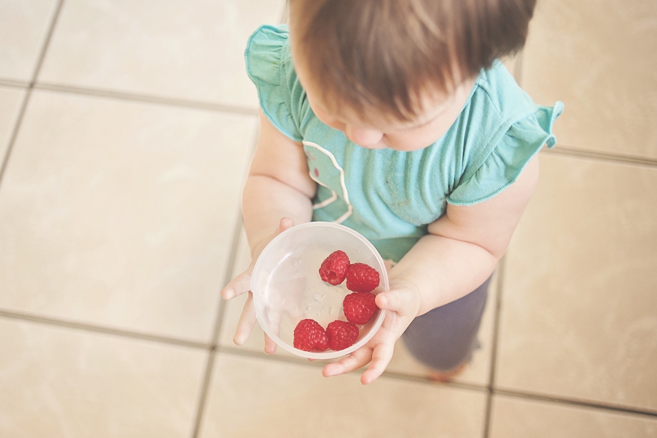 Lancheira saudável: dicas para melhorar a alimentação das crianças
